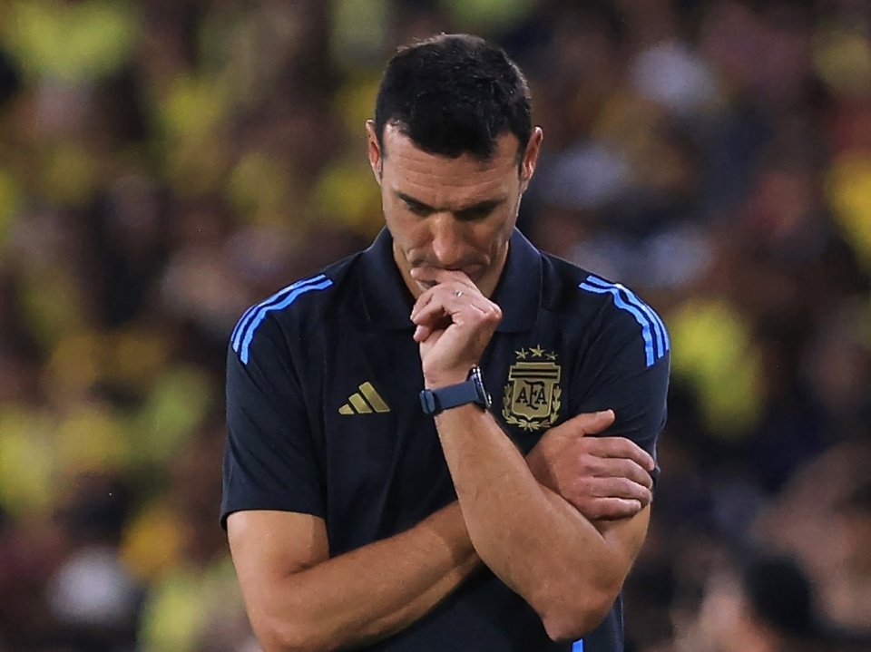 办的世界杯, QsaNE 办的世界杯, QsaNE