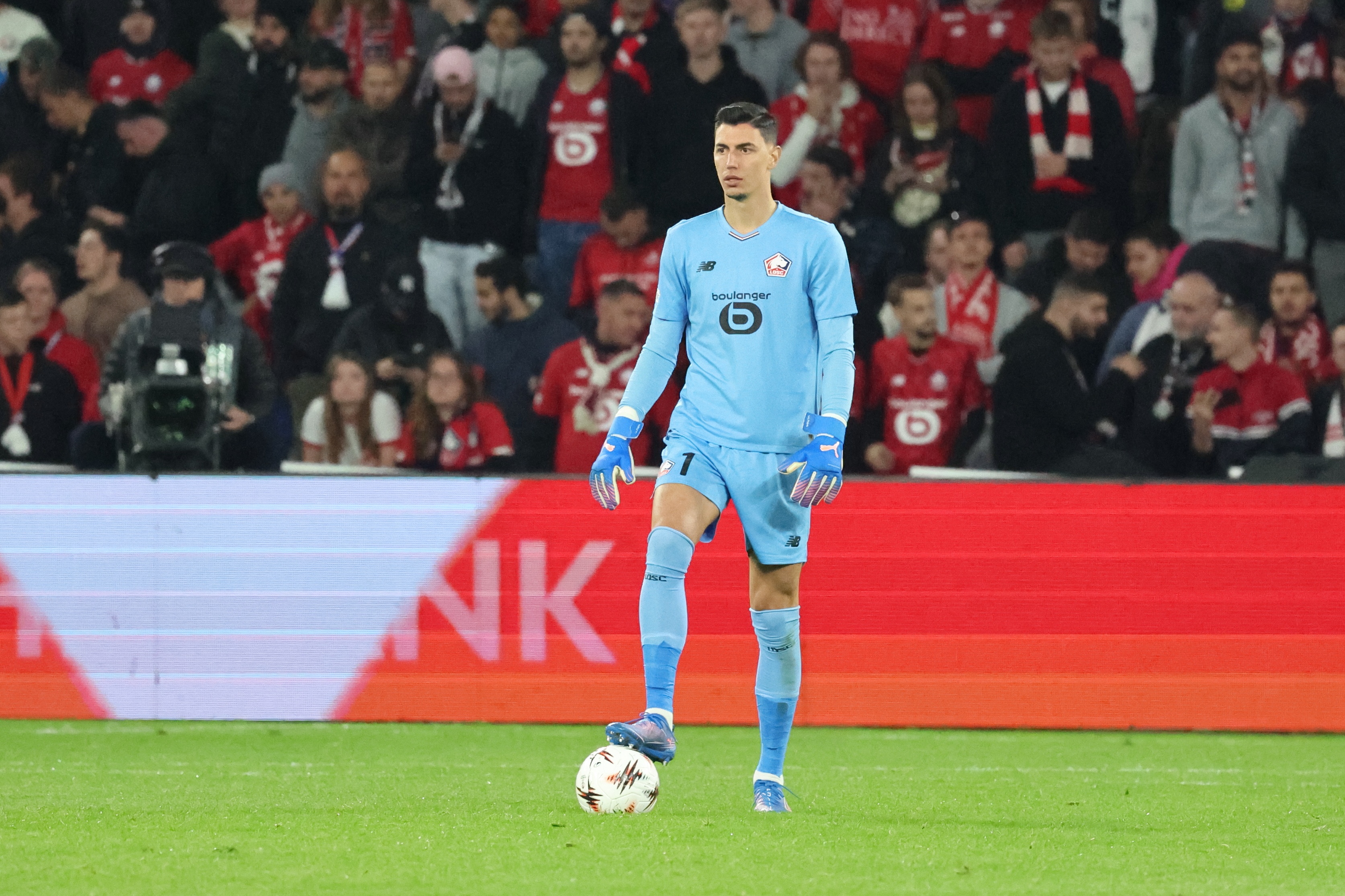 的世界杯梦 的世界杯梦